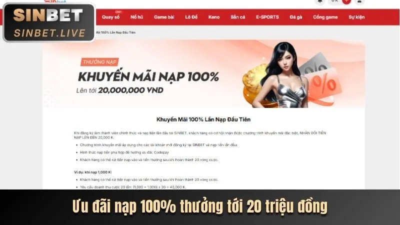 Chính sách cookie của vip22